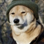 Wizard_Doge69's Avatar'