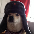 MrCrazyPug's Avatar'