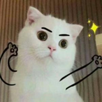 memegiao's Avatar'
