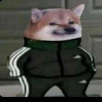 JungleNot2's Avatar'