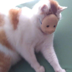 quiverworm8's Avatar'