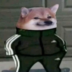 Pika.ZBD's Avatar'