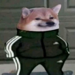Pika.ZBD
