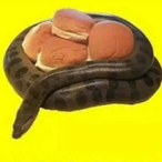 FootballBryce's Avatar