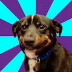MaliHxzi7's Avatar'
