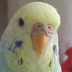 VictrexTRX's Avatar'