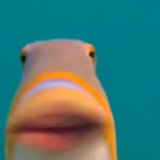 Hubert.420's Avatar'