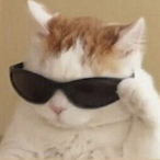 Brrpi2Drrpi's Avatar'