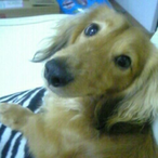 ma-ri-ka-_-95's Avatar'