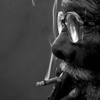 abbas_khooshabi's Avatar'
