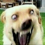 Itzrealgary's Avatar'