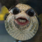 TommyOpa's Avatar'