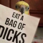 No_good_name's Avatar'