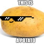 FuriousDragonX.'s Avatar