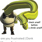 SHREK_liam's Avatar'
