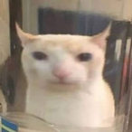 Jerry2step's Avatar'