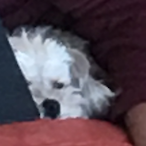 Redjmaster2020's Avatar'