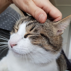 oh.............'s Avatar'