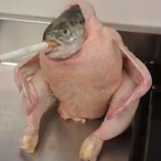 Thunder-sds's Avatar'