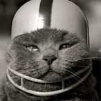 BrandonSalceson's Avatar'