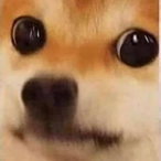 SinceClosedBeta's Avatar'