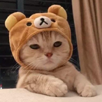 Bonbon_Tiger's Avatar'