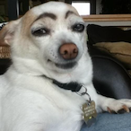 dezz_nuts123's Avatar'