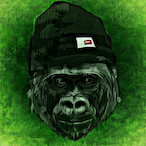 Vexxicek's Avatar'