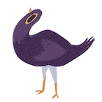 pandit.1OT's Avatar'