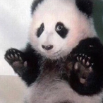 OneManBoofPack's Avatar'