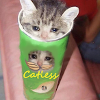 sadcatt's Avatar'