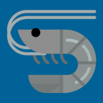 CRYZ_SHRIMP's Avatar'