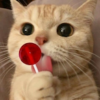 Astro.Alex's Avatar'