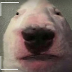ELONGusk's Avatar'