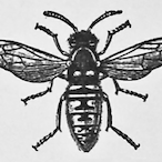 WaSp_Milad's Avatar'