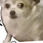 BrokenChir's Avatar'