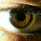 OFF.STAR's Avatar'