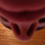 LarryMcRonald's Avatar'