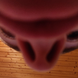 LarryMcRonald