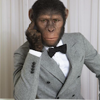 GentleMonke's Avatar'