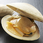 Big-Clams's Avatar'
