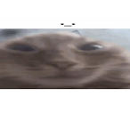 goblinkiraly's Avatar'