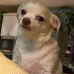 UndrCookdTurnip's Avatar'