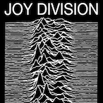 Octopus_zy's Avatar'