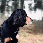 Jackaboy1110's Avatar'