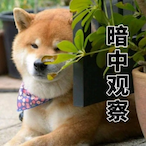 PotatoAim_Andy's Avatar'