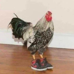 SigmaPapa's Avatar'