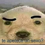 hunterpanza's Avatar'