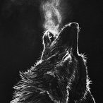 SuluSwag's Avatar'