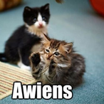 Rockysoldier97's Avatar